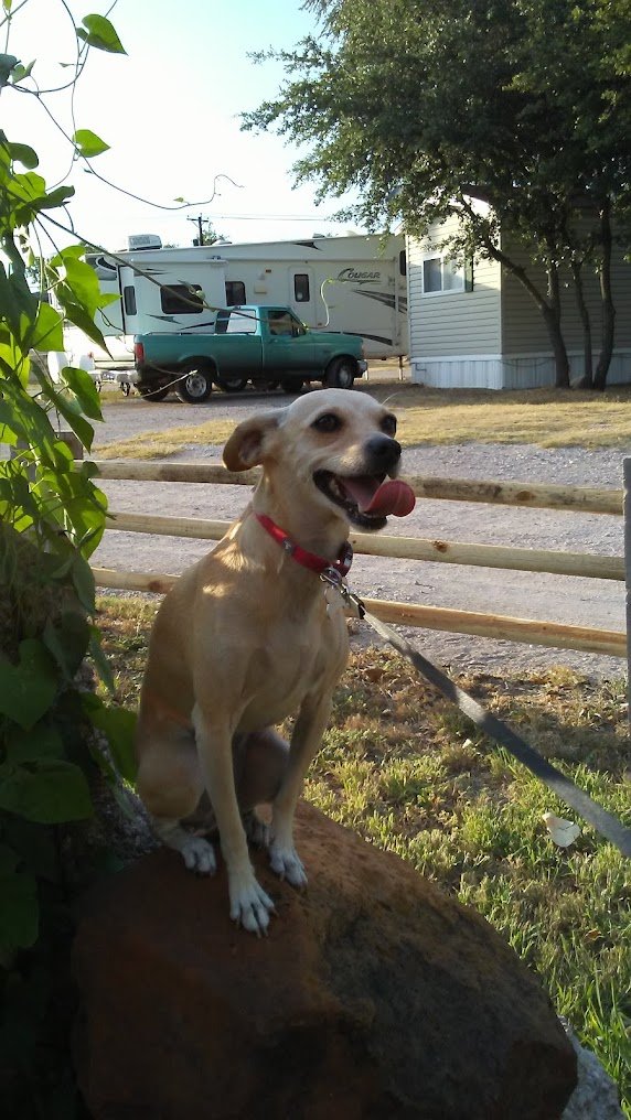 Dog Park — Eagle Resorts RV Park