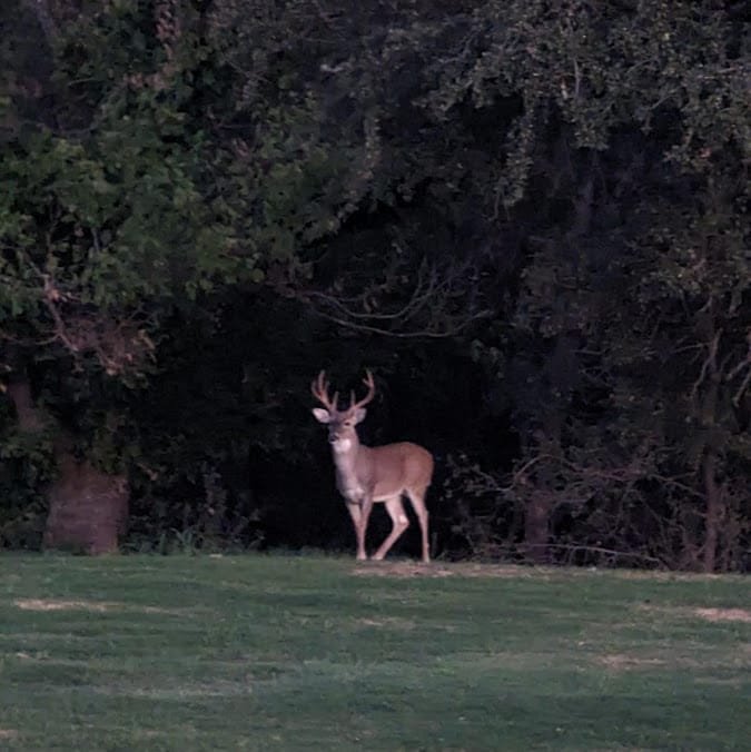 Eagle Resorts RV Park — Fort Worth, TX